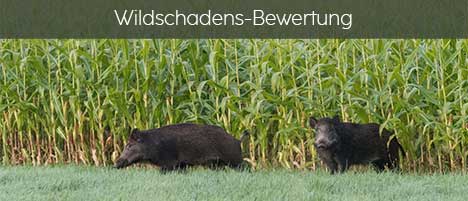 Wildschadens-Bewertung der JAGDWERKER